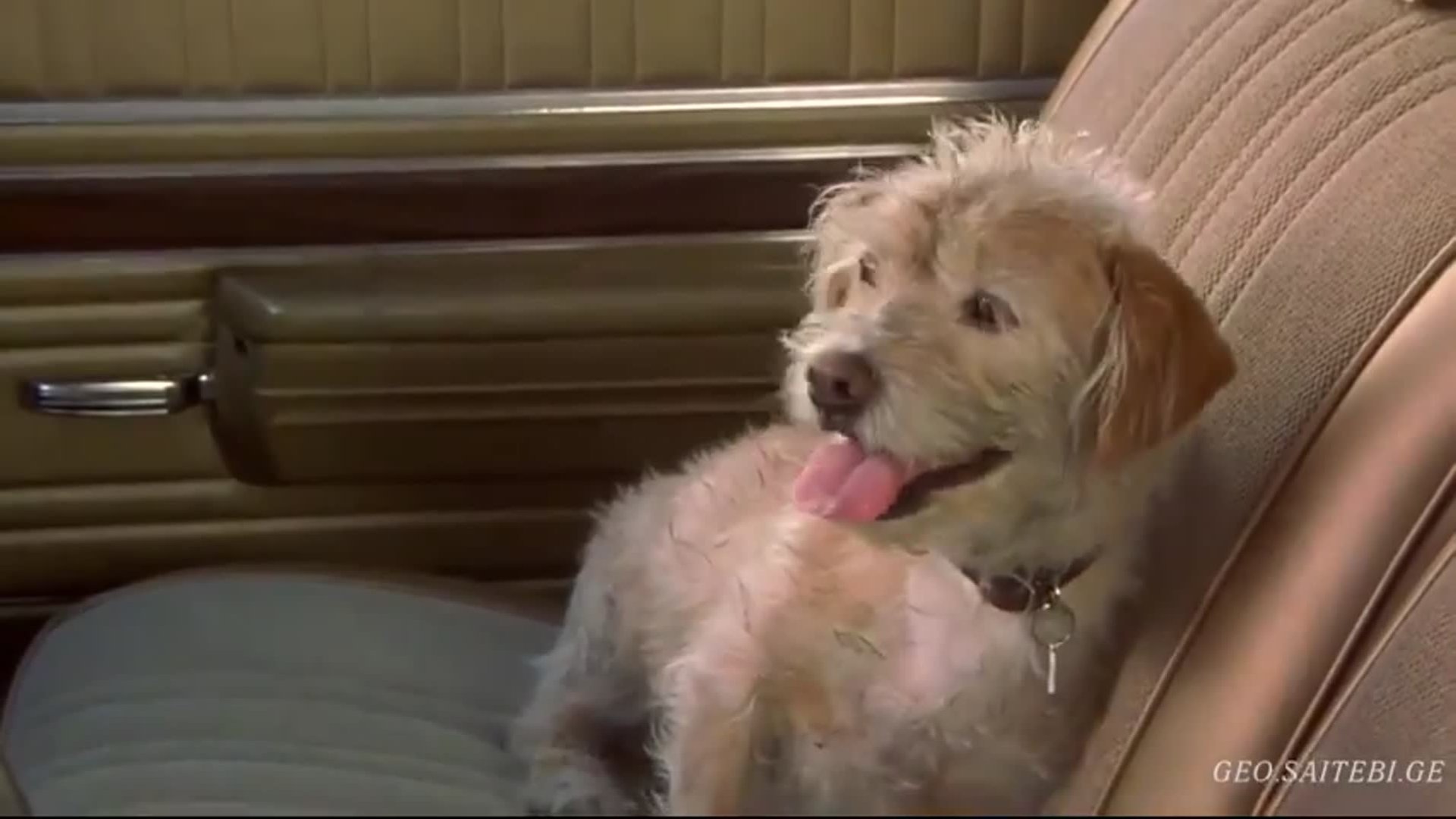 ტელეწამყვანი ლეგენდა რონ ბურგუნდიზე ქართულად / Anchorman: The Legend of Ron Burgundy (2004) poster