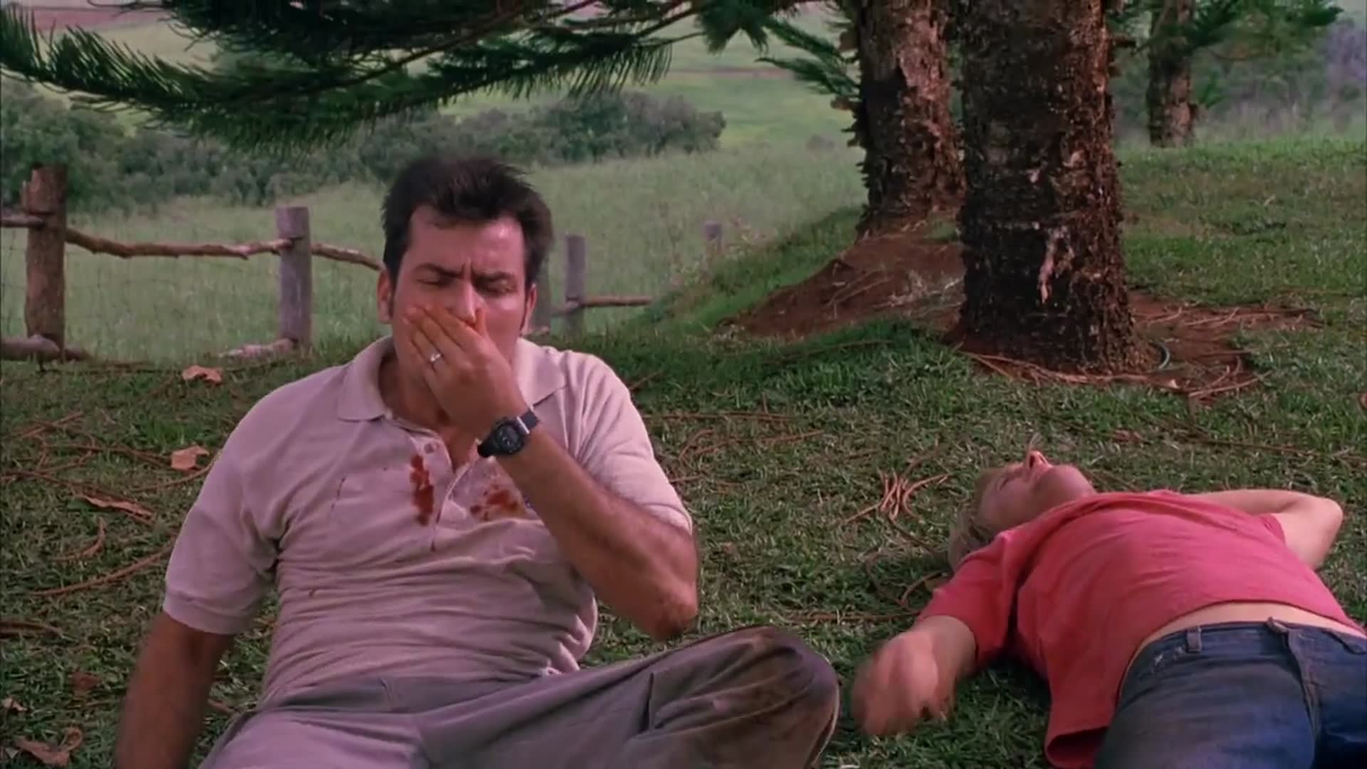 დიდი ძარცვა ქართულად / The Big Bounce (2004) poster