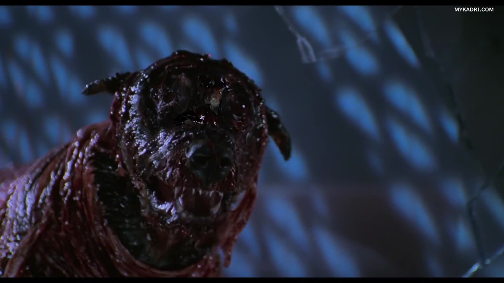 ბოროტების სავანე ქართულად / Resident Evil (2002) poster