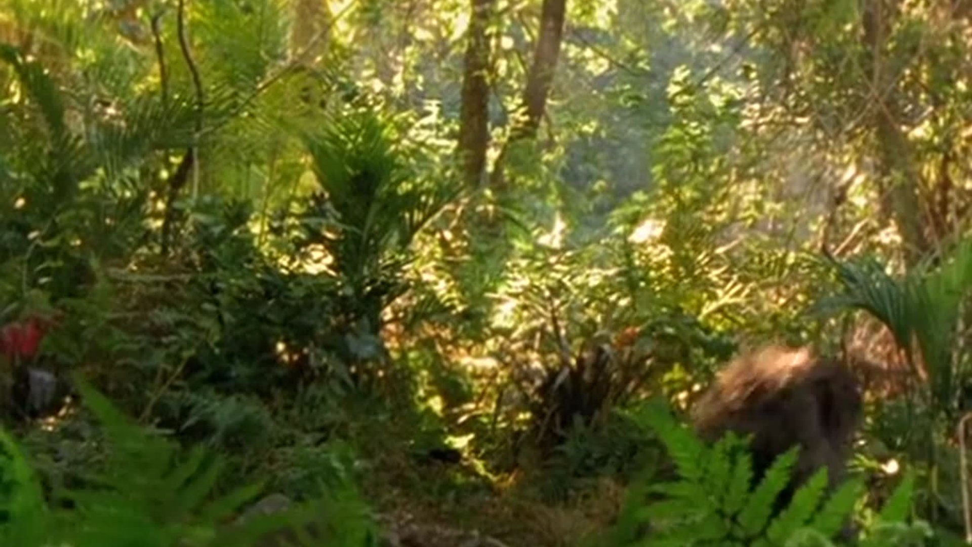 1x14 დაკარგული სამყარო ქართულად The Lost World (1999) poster