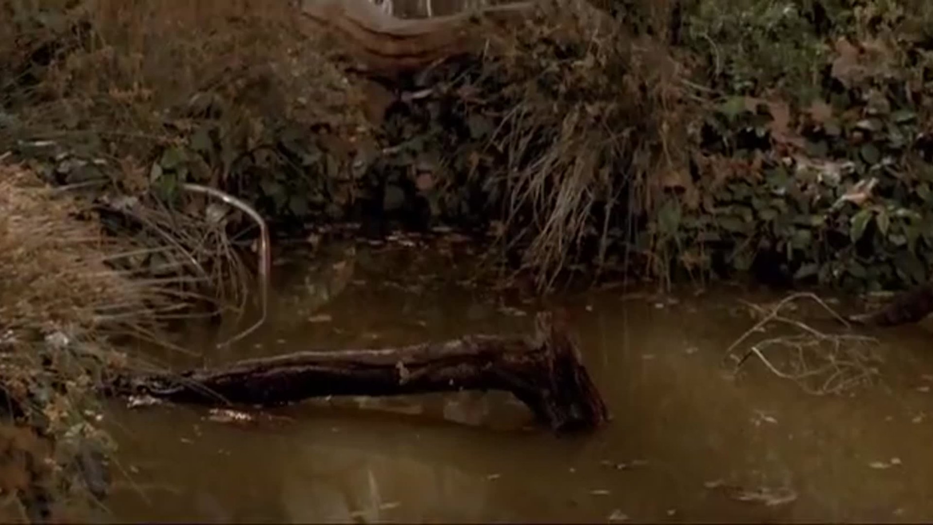 შავი შური ქართულად / Envy (2004) poster