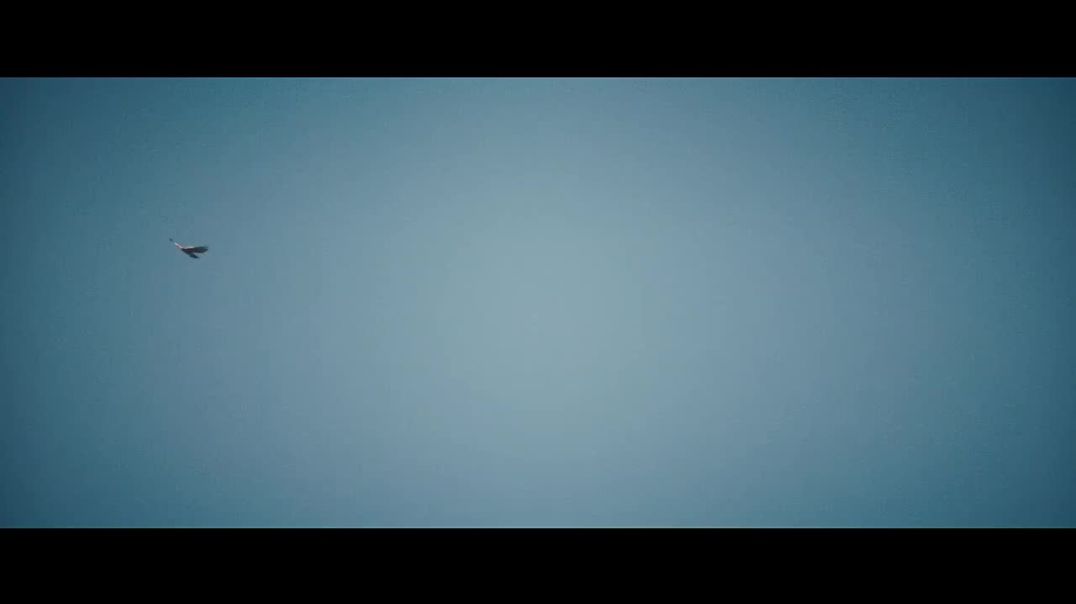 გაქცევა დანემორადან / Escape at Dannemora 1
