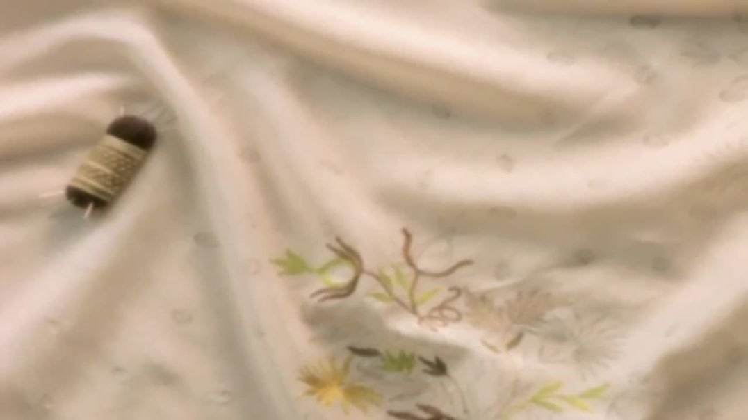 ⁣სიამაყე და ცრურწმენა / Pride and Prejudice 4