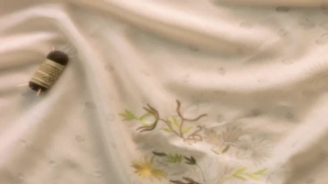 სიამაყე და ცრურწმენა / Pride and Prejudice 3