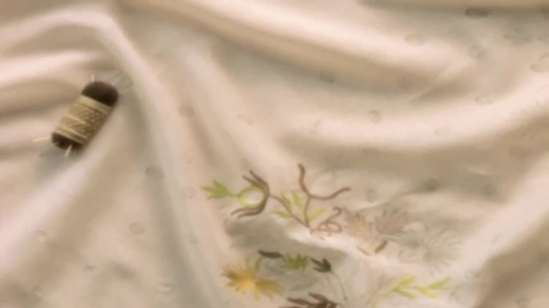 სიამაყე და ცრურწმენა / Pride and Prejudice 2